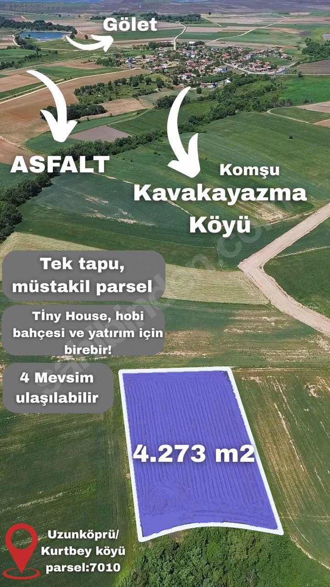 Fotoğraf