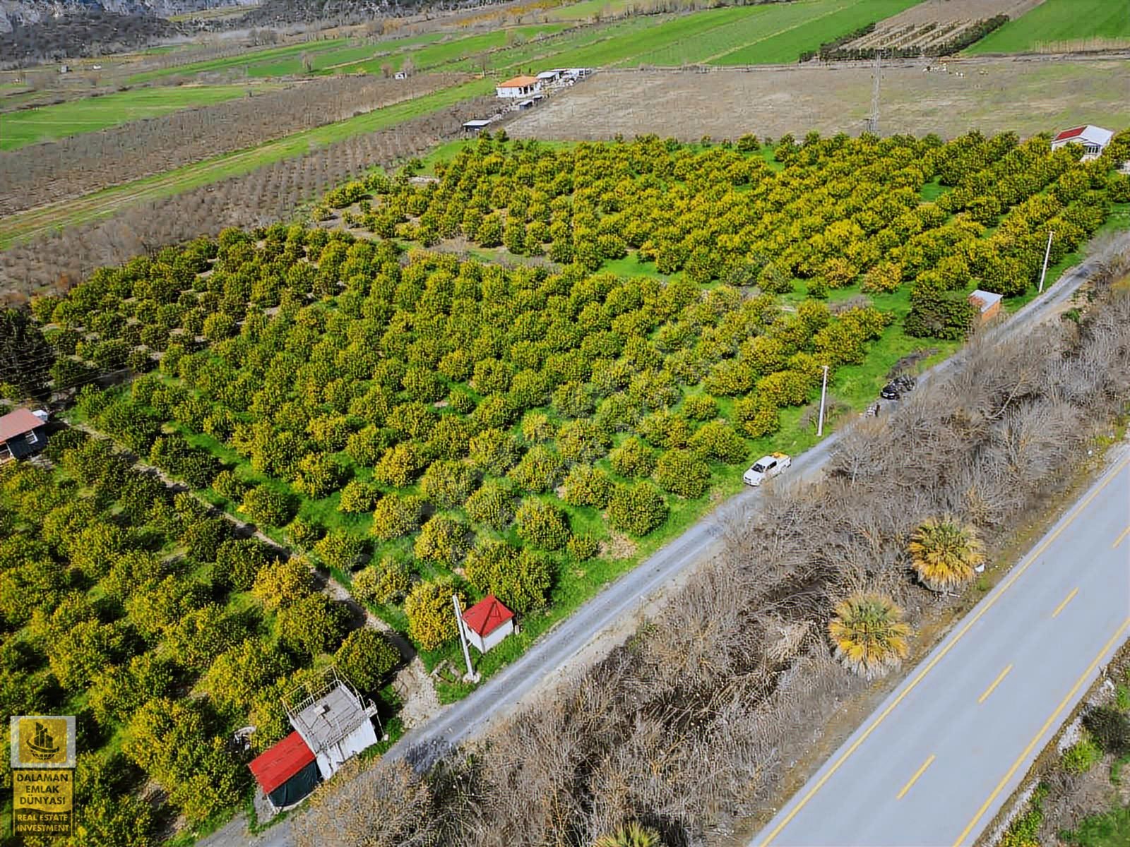 İlan Fotoğrafı