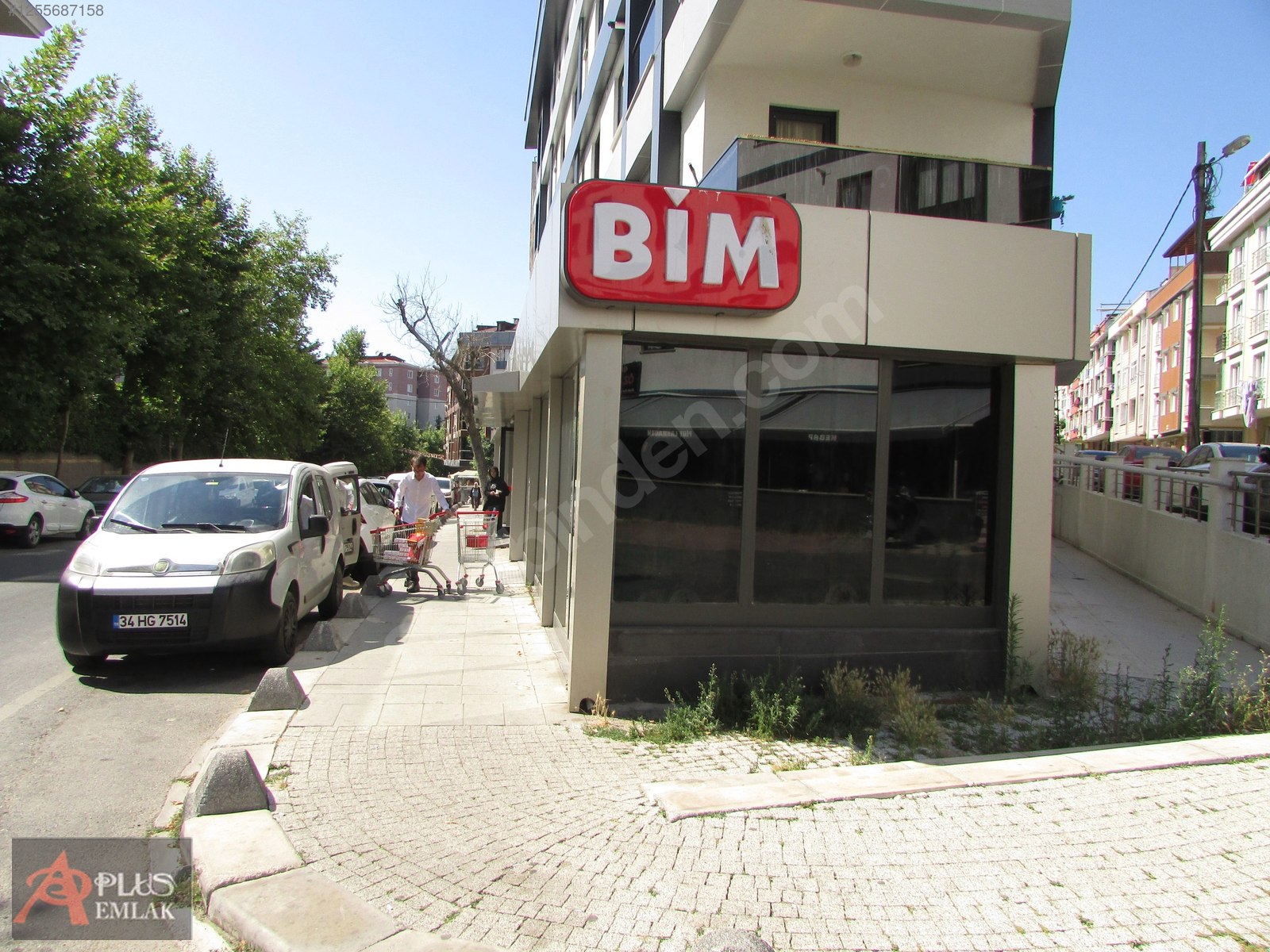 Fotoğraf