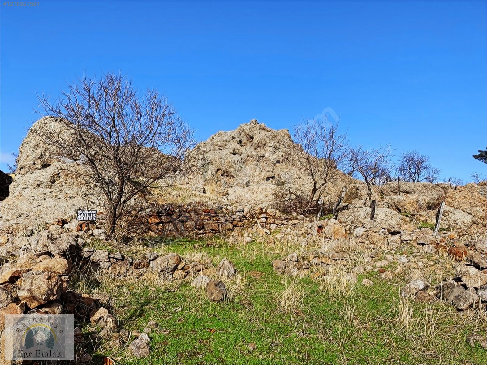 Fotoğraf