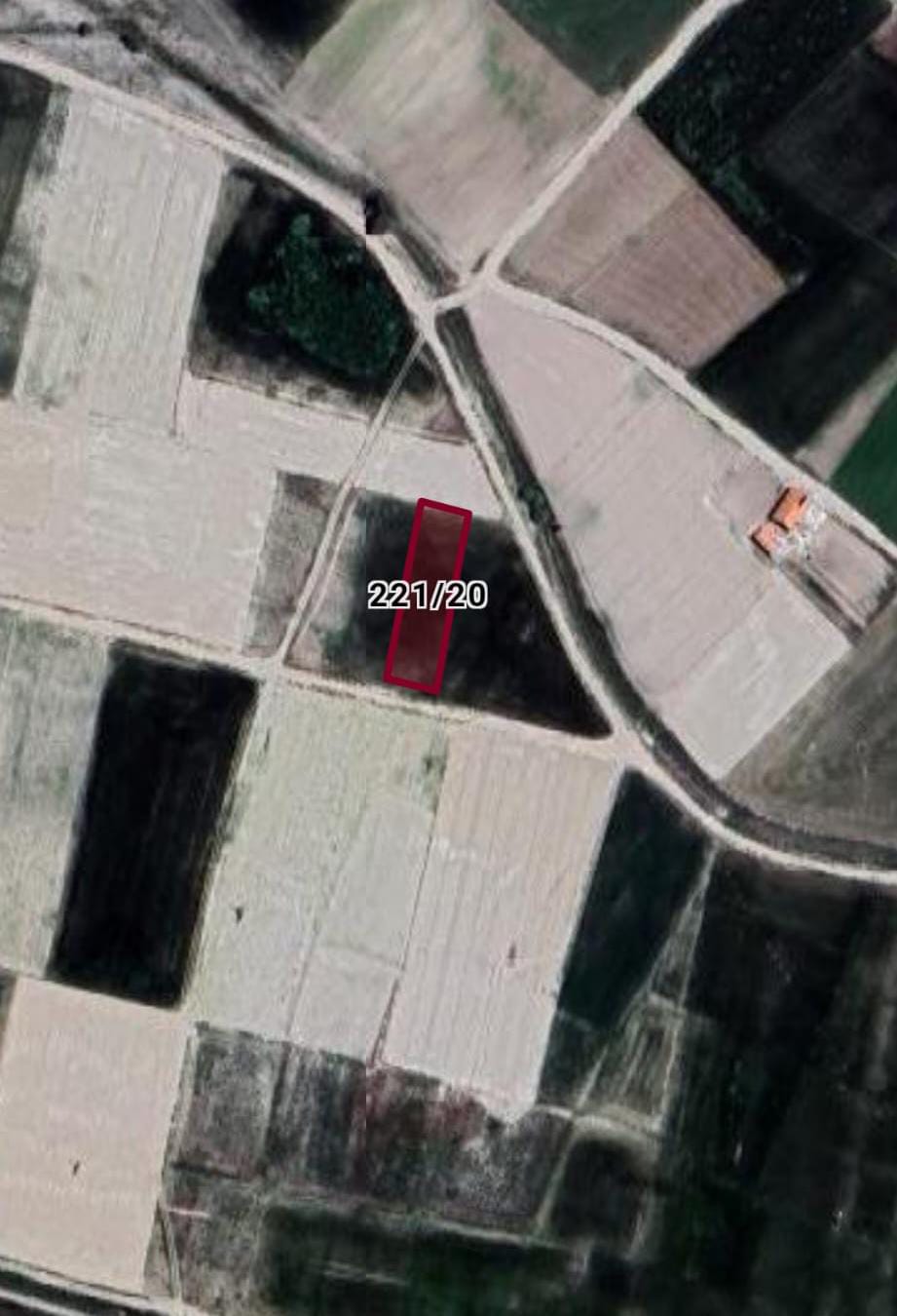 Fotoğraf