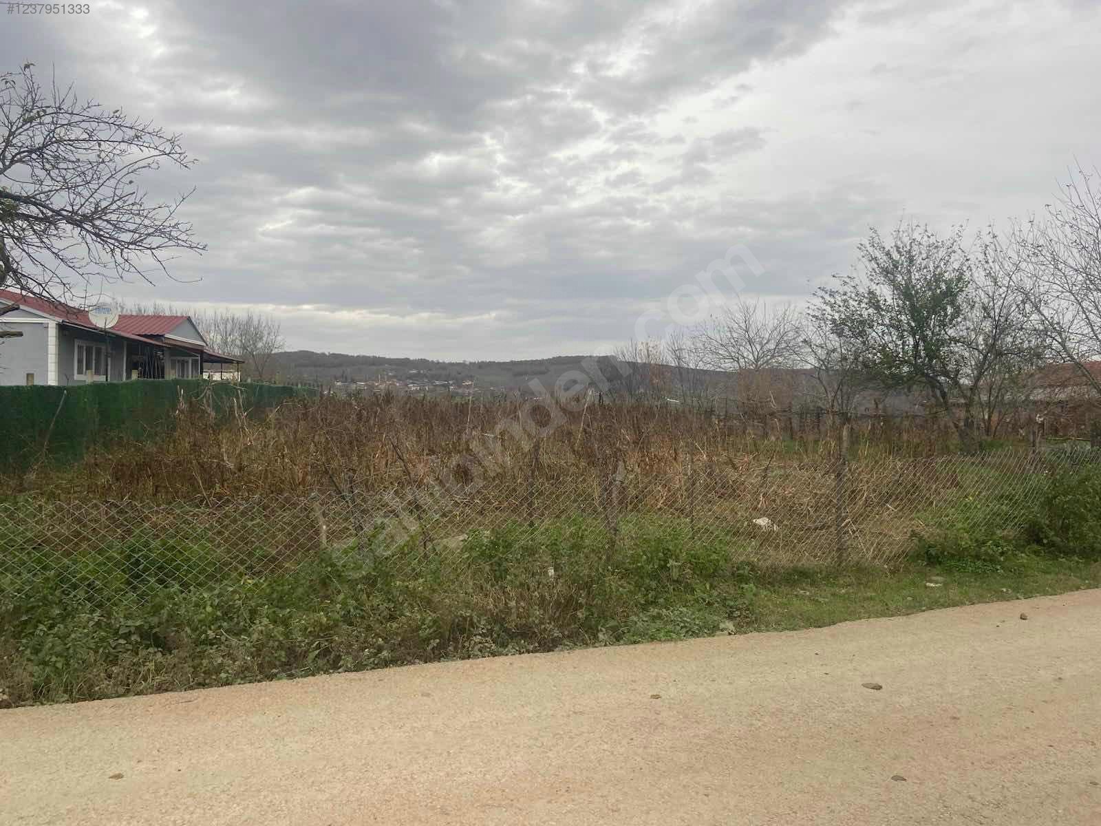 İlan Fotoğrafı