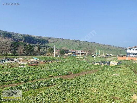 İlan Fotoğrafı