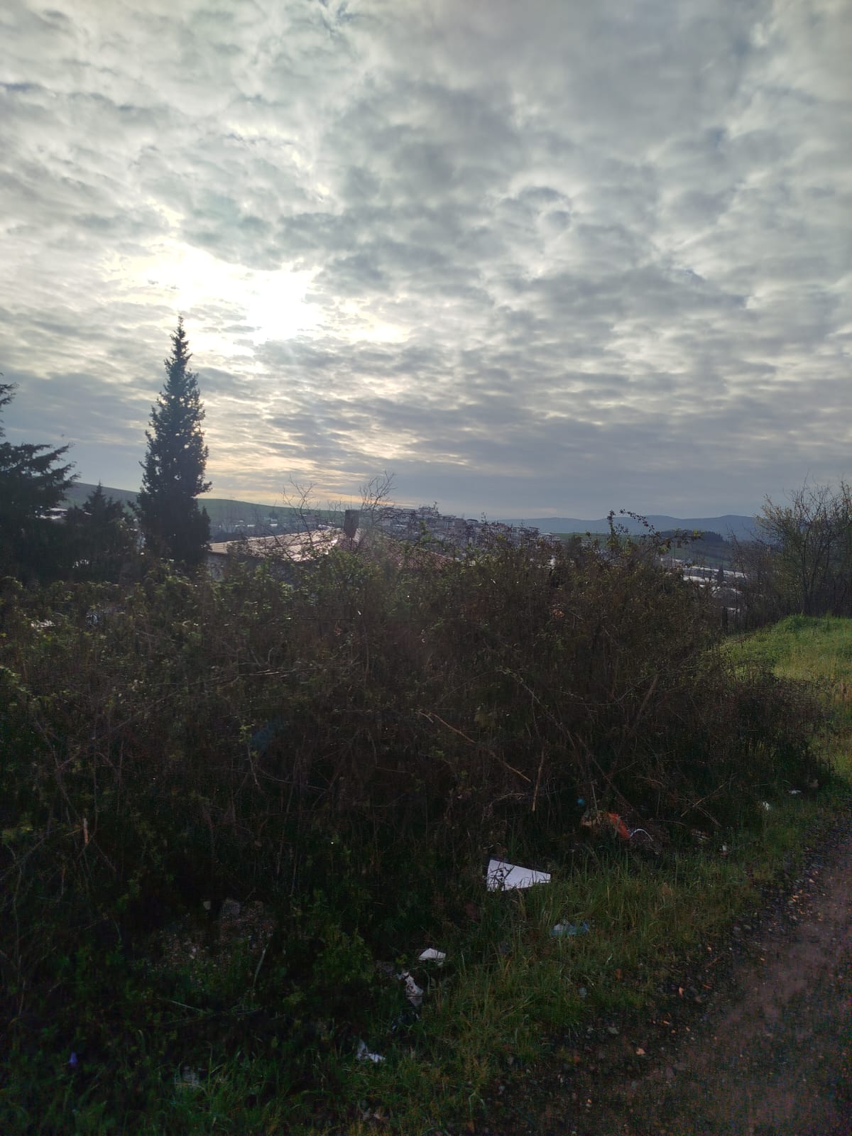 Fotoğraf