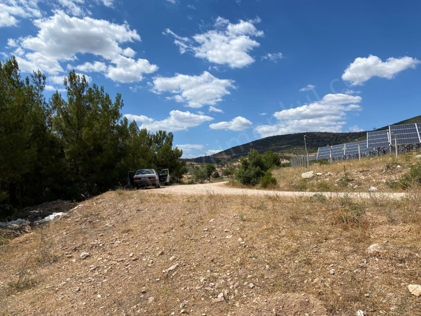 Fotoğraf