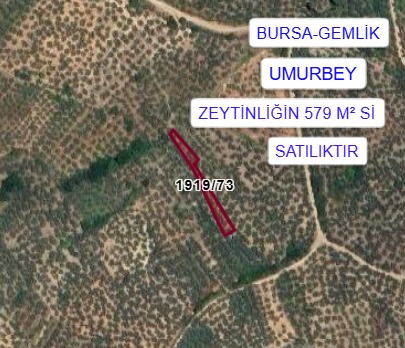 İlan Fotoğrafı