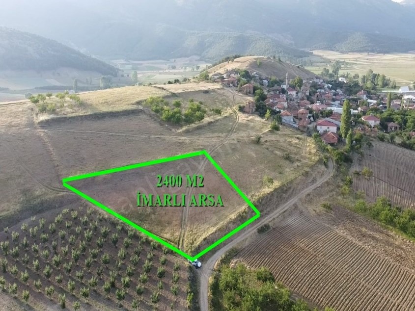 Fotoğraf