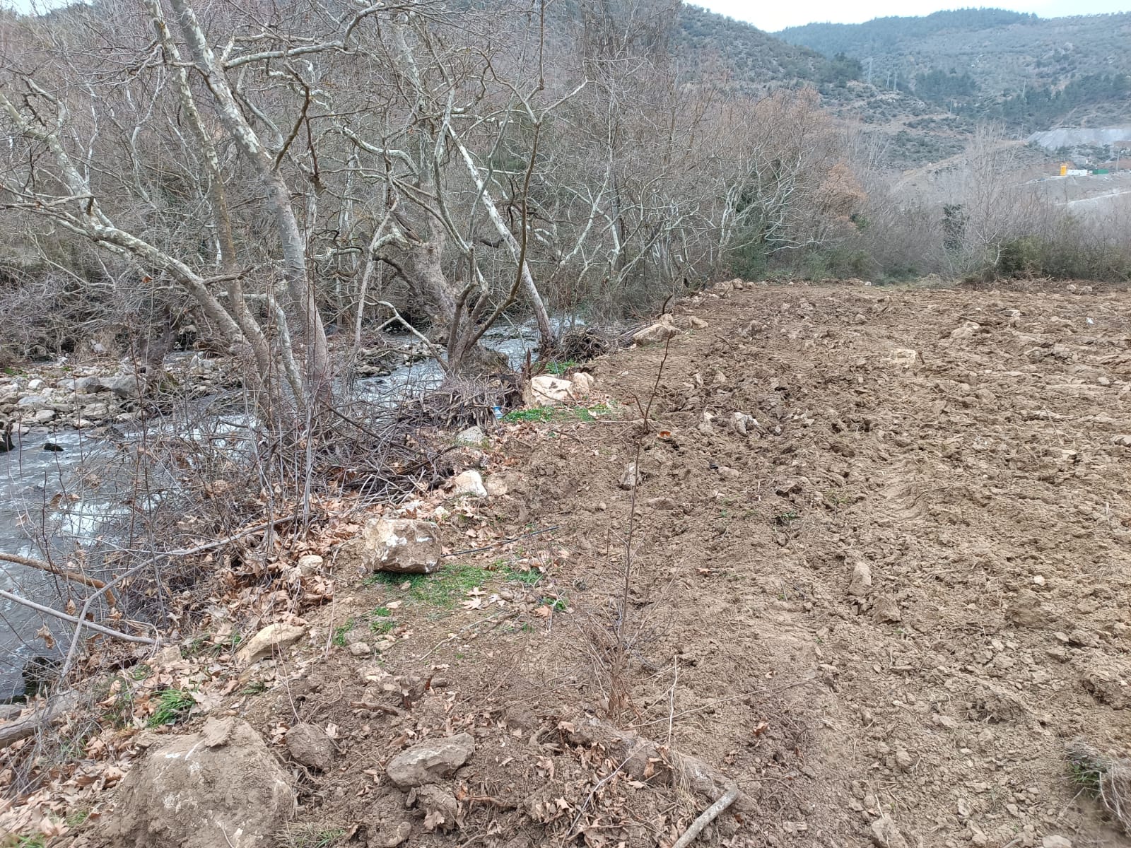 Fotoğraf