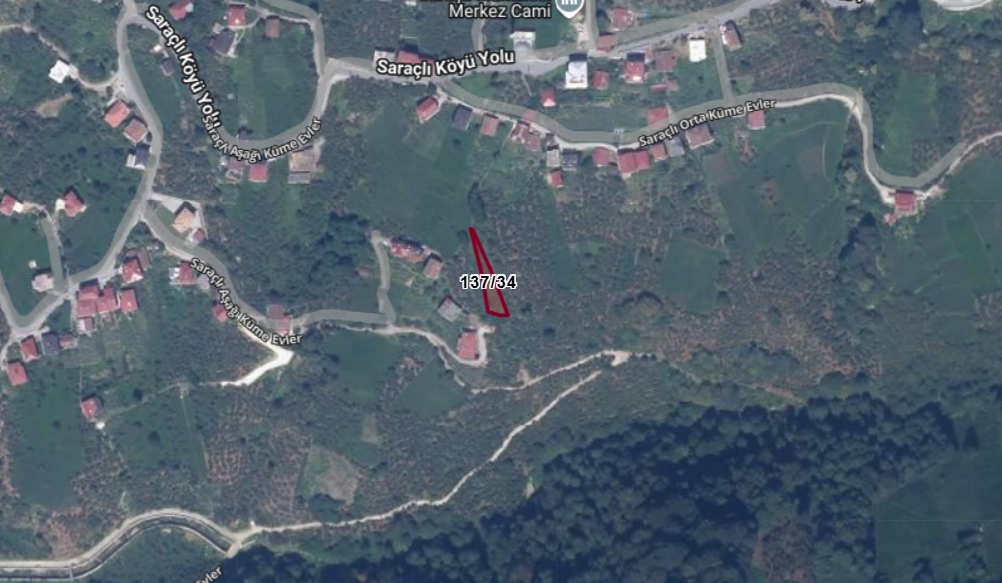 TRABZON OF SARAÇLI   KÖYÜNDE 477 M²  FINDIK BAHÇESİ  SATILIKTIR