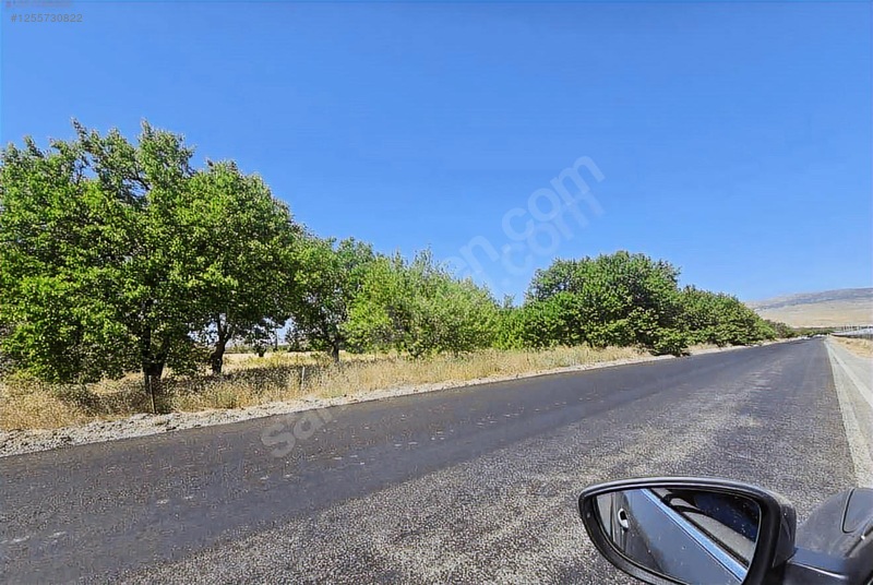 Fotoğraf