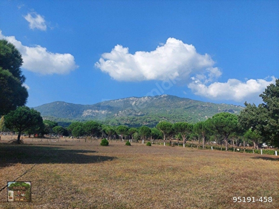 BERGAMA KOZAK HACIHAMZALAR MAH DE 10500 M2 TARIM İMARLI TARLA ÖNÜ PARSEL YOL ELE