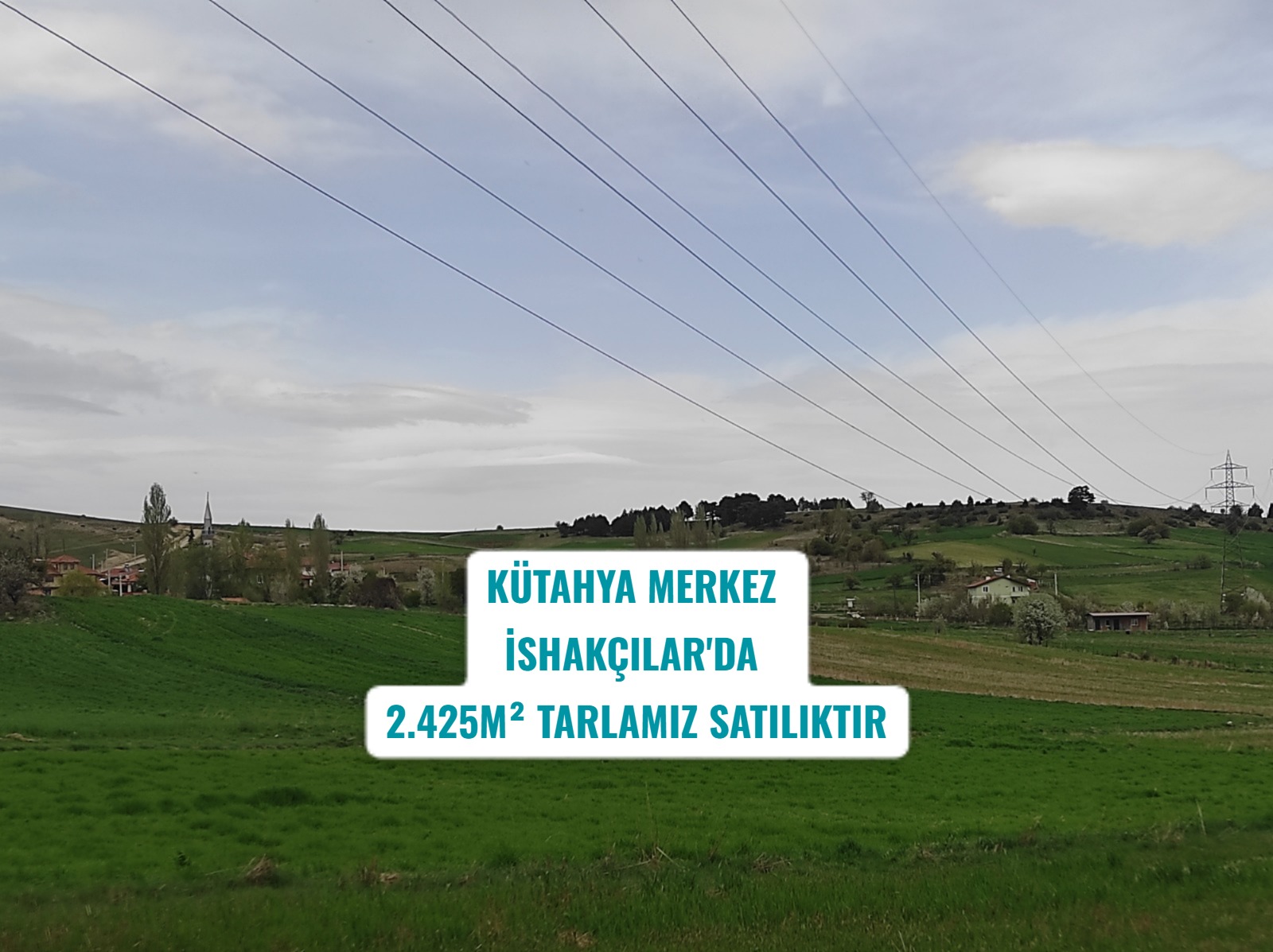 Fotoğraf