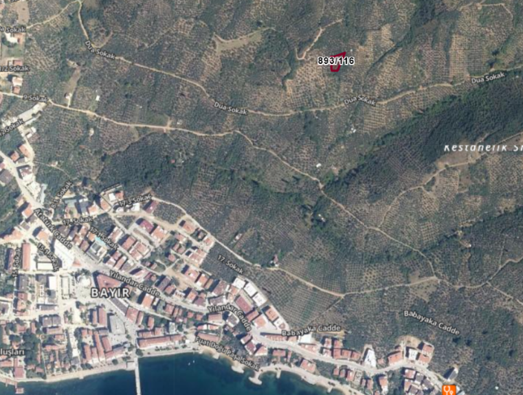 Fotoğraf