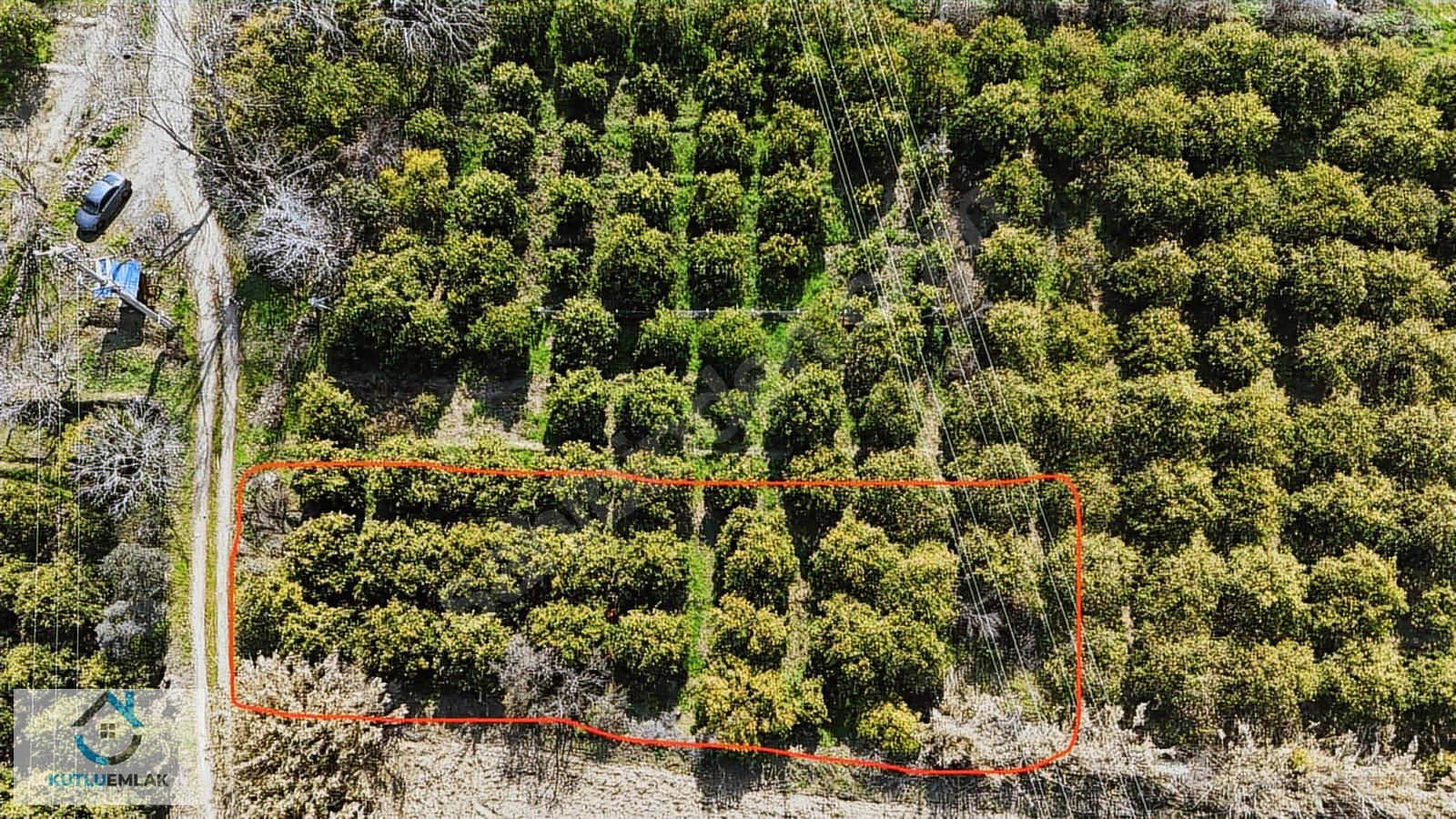 İlan Fotoğrafı