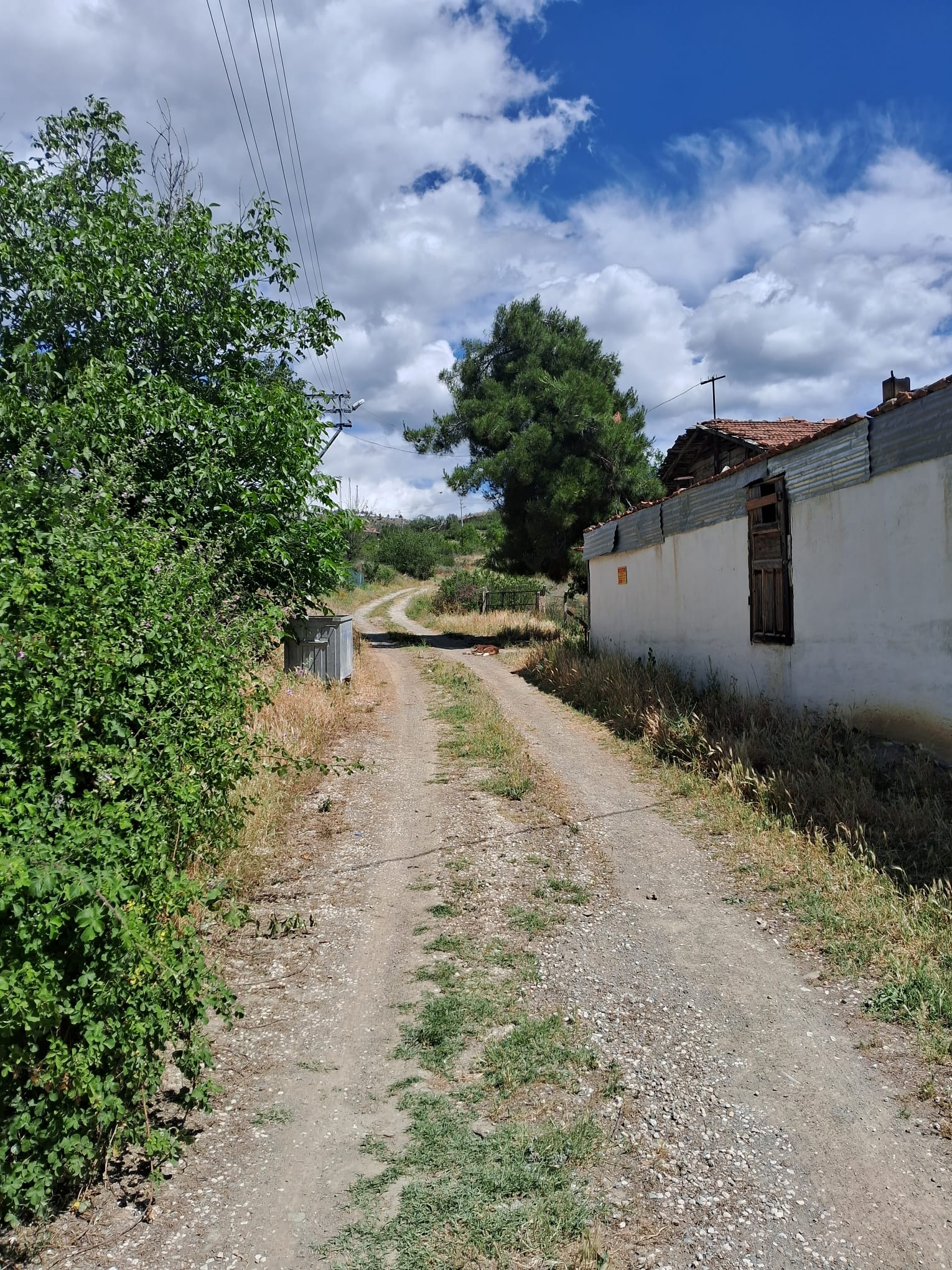 Fotoğraf