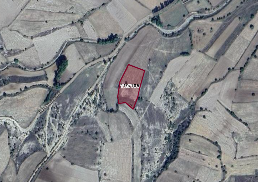 KÜTAHYA ASLANAPA TOKUL  KÖYÜNDE  4.951  M²  TARLA  SATILIKTIR