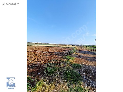 İlan Fotoğrafı