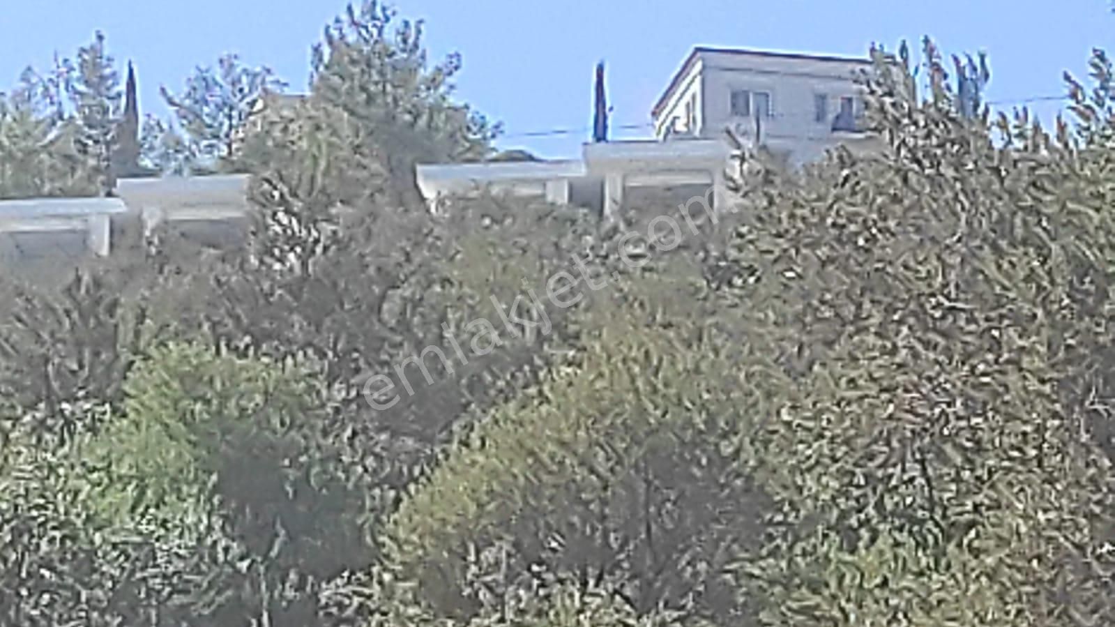 İlan Fotoğrafı