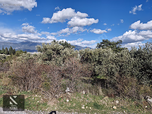 İlan Fotoğrafı