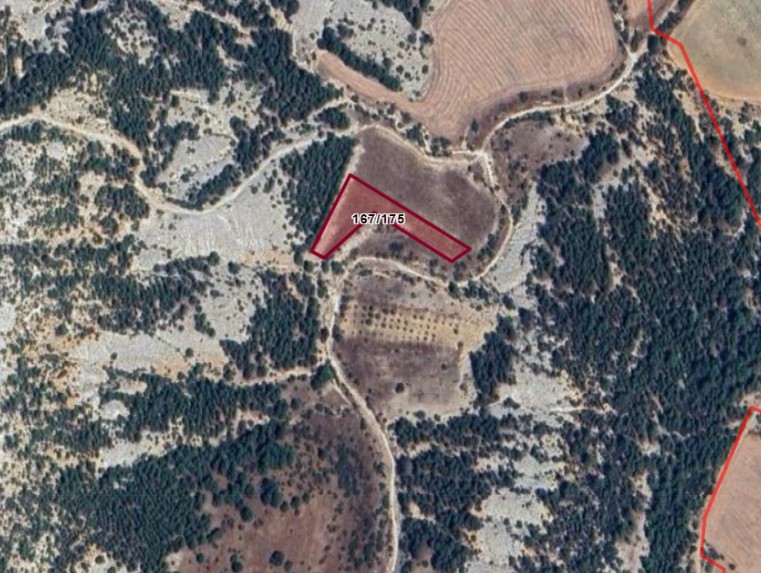 Fotoğraf