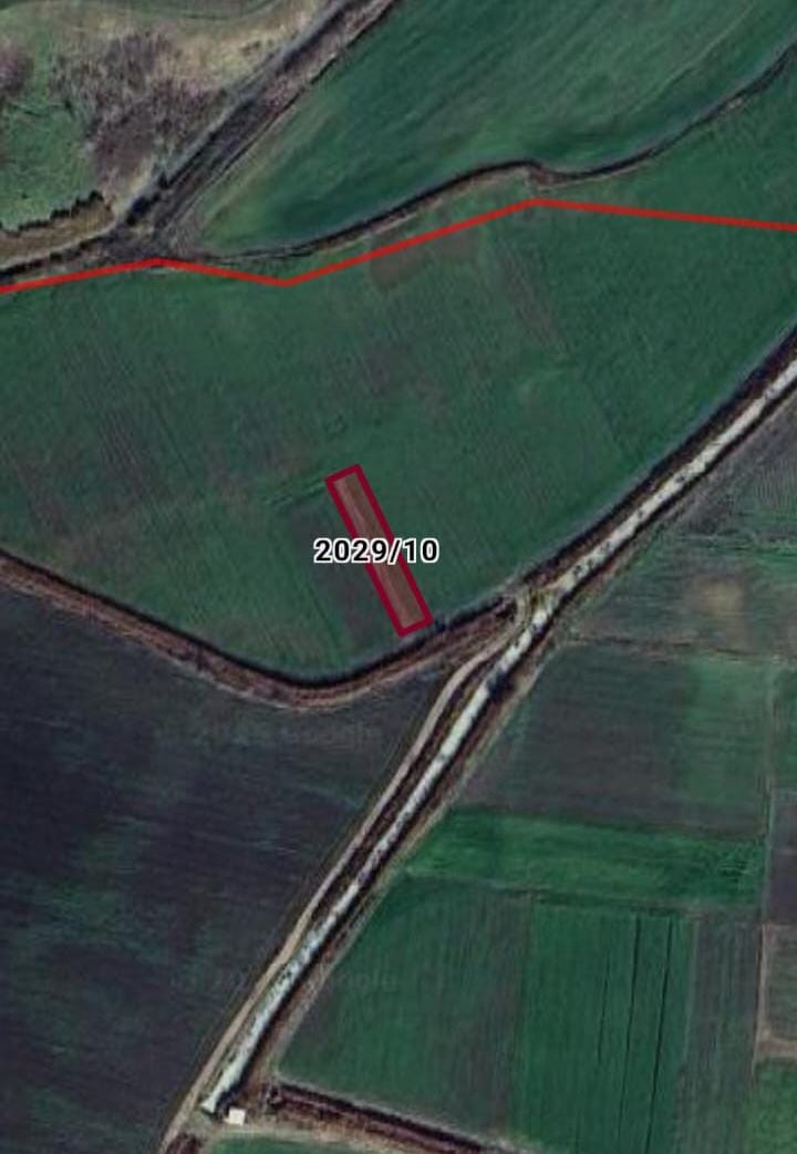 Fotoğraf