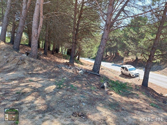 KOZAK YUKARIBEY MAH DE 1250 m2 Arsa