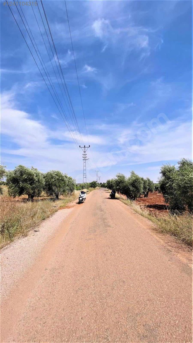 İlan Fotoğrafı