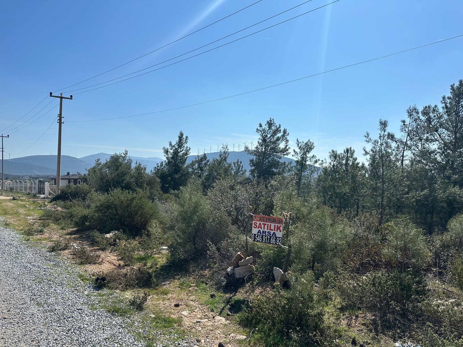 Fotoğraf
