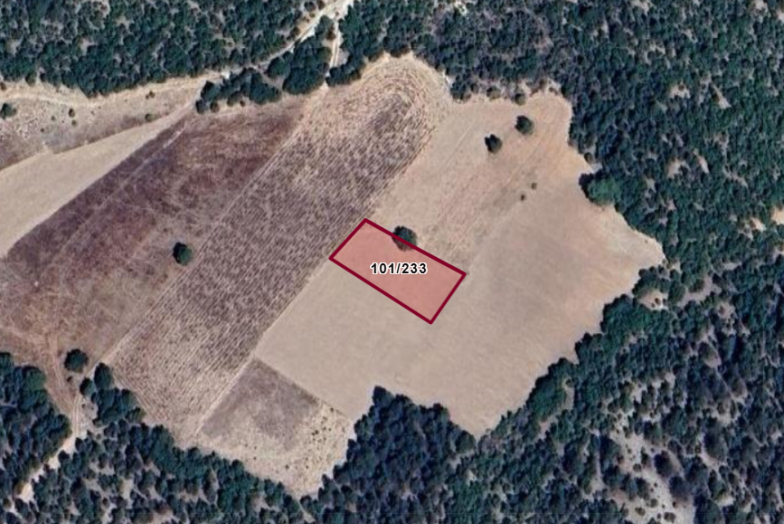 KÜTAHYA ÇAVDARHİSAR ÇAT  KÖYÜNDE 1.085  M²  TARLA  SATILIKTIR