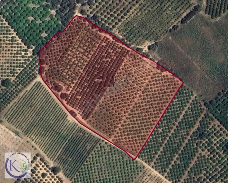 İlan Fotoğrafı