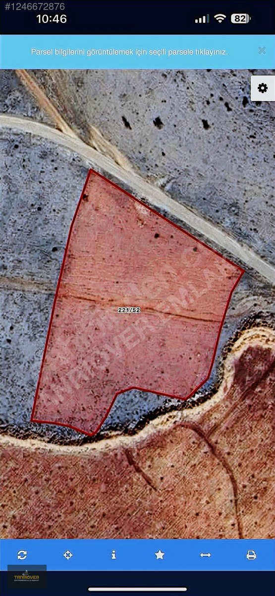 Fotoğraf