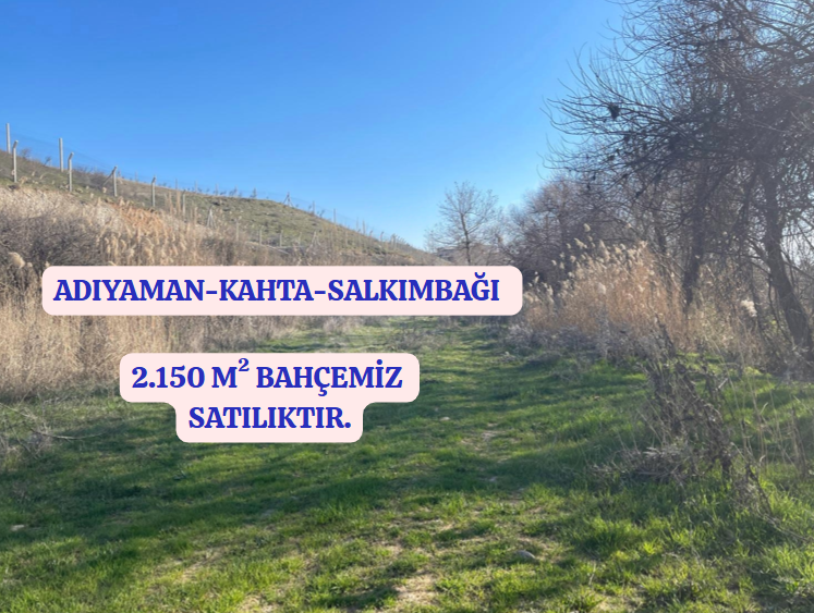 Fotoğraf