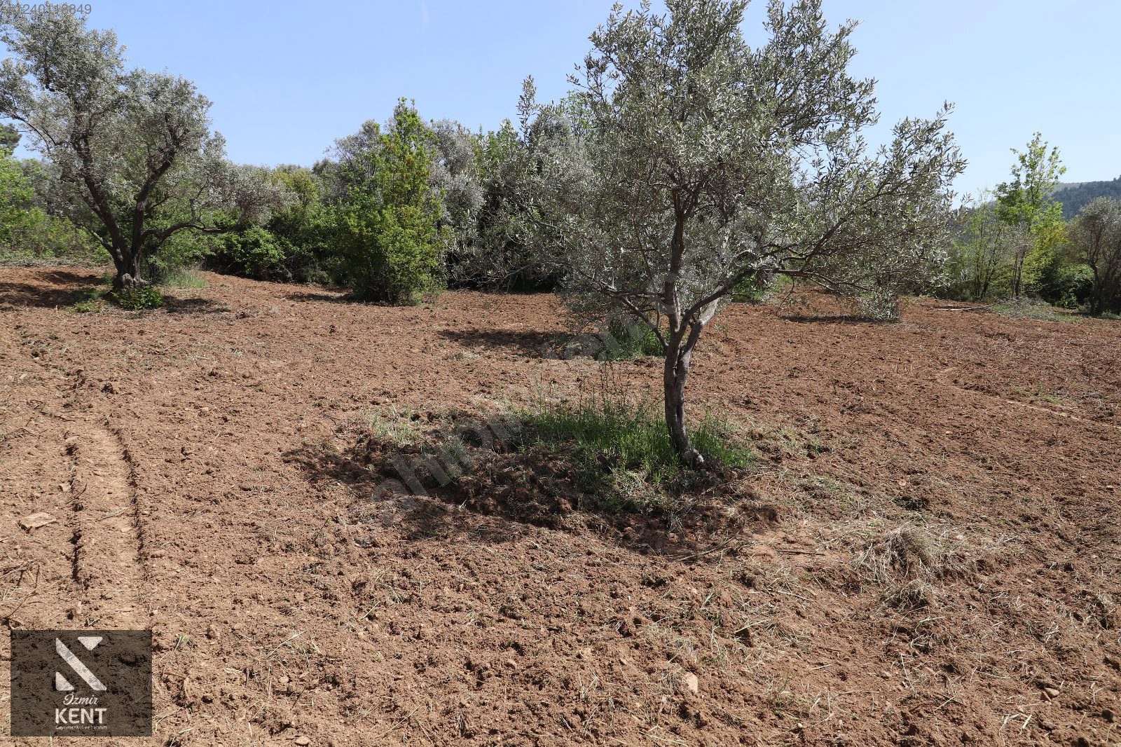Fotoğraf