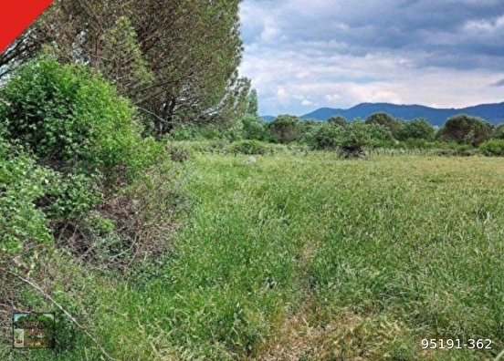 KOZAK HACIHAMZALAR MAH DE 5150 M2 İMARLI TARLA