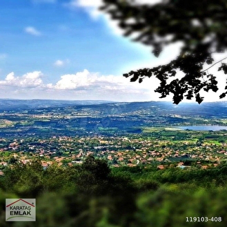 Fotoğraf