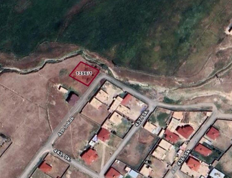 Fotoğraf