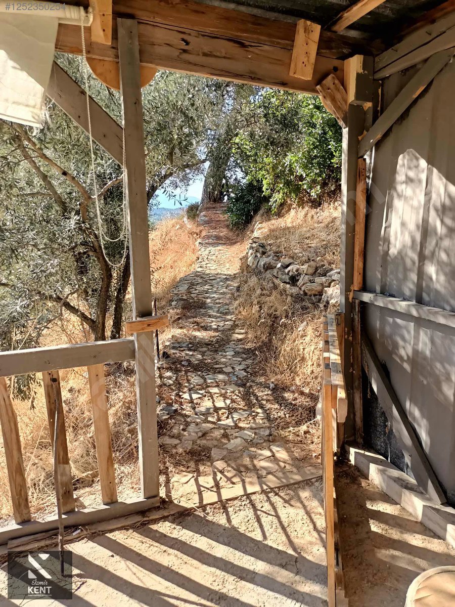 Fotoğraf
