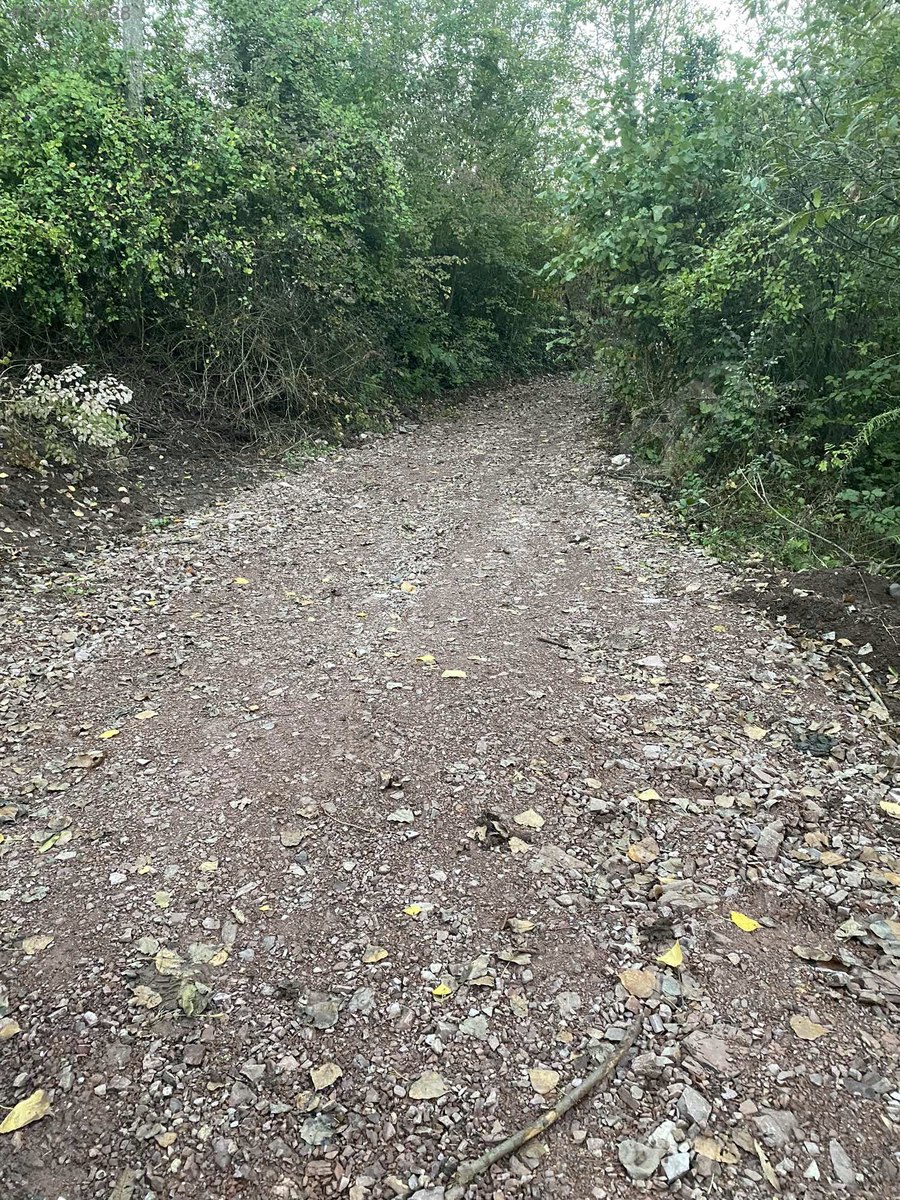 Fotoğraf