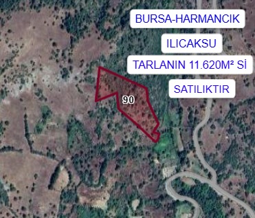 İlan Fotoğrafı