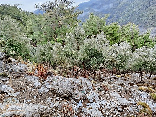 İlan Fotoğrafı