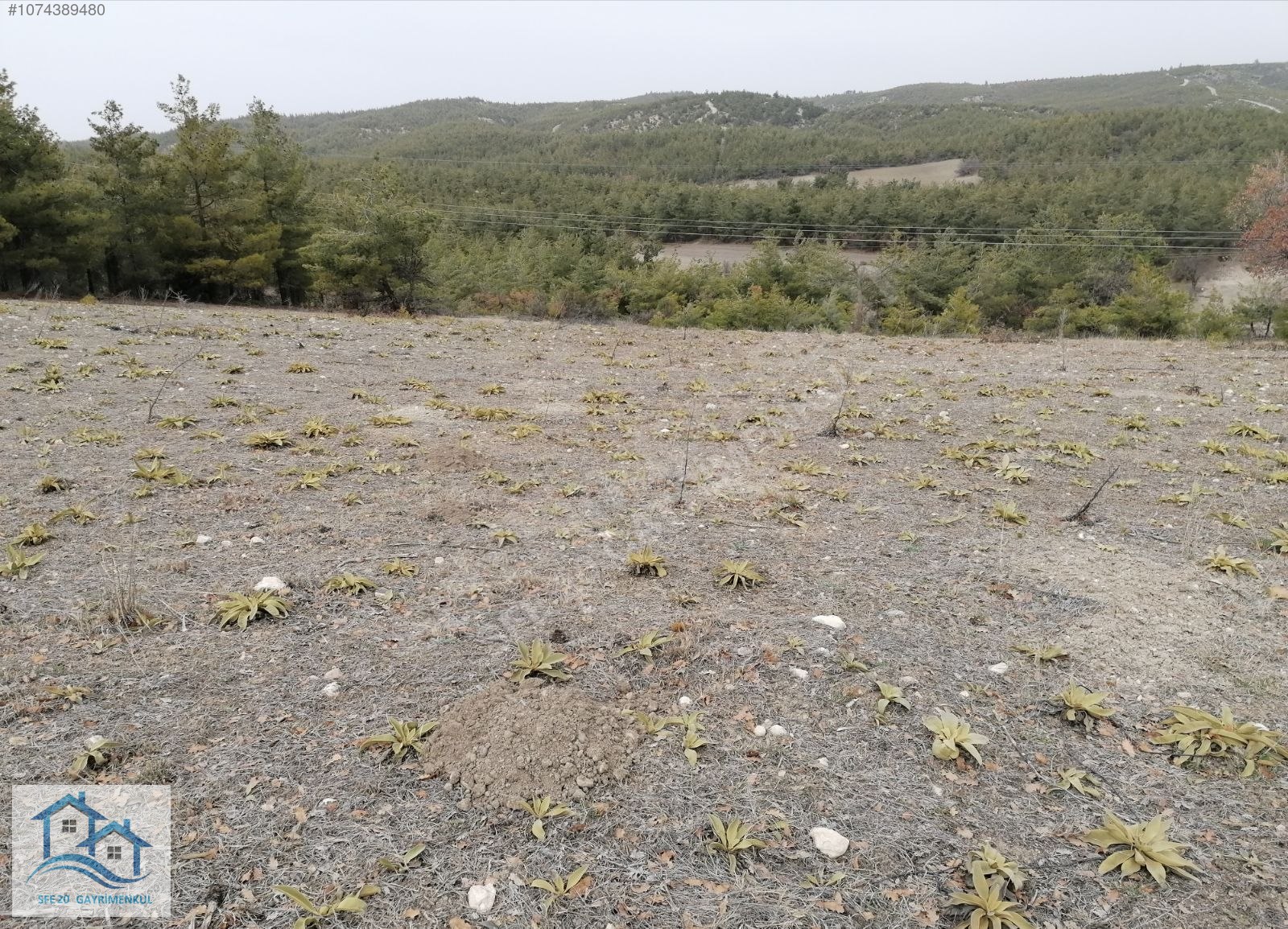 BOZKURT BAKLANKUYUCAK'TA MARJİNAL RAPORU ALINMIŞ SATILIK ARAZİ