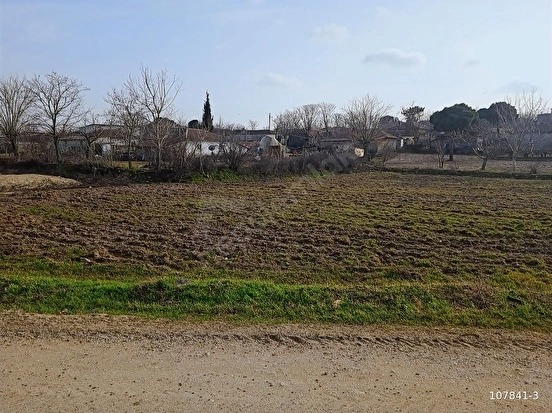 Fotoğraf