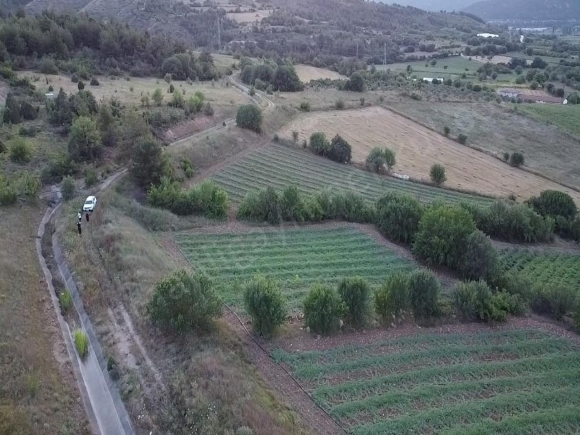 Fotoğraf