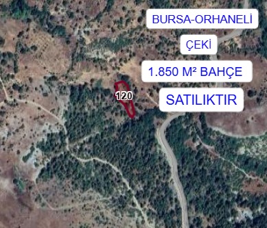 İlan Fotoğrafı
