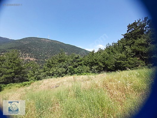 İlan Fotoğrafı