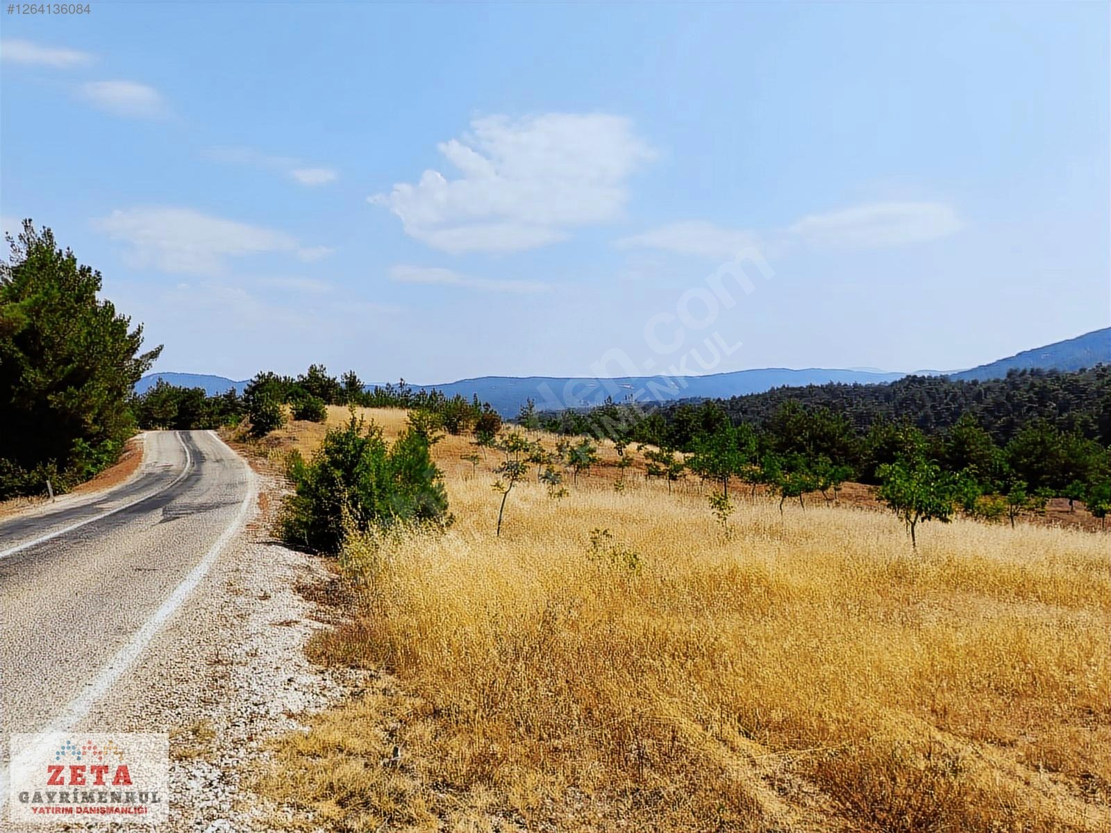Sakarya Taraklı'da 11.240 m² Yatırımlık Tarla - SAKARYA TARAKLI