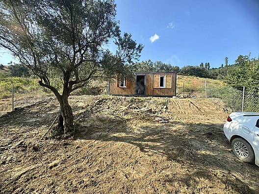 Fotoğraf