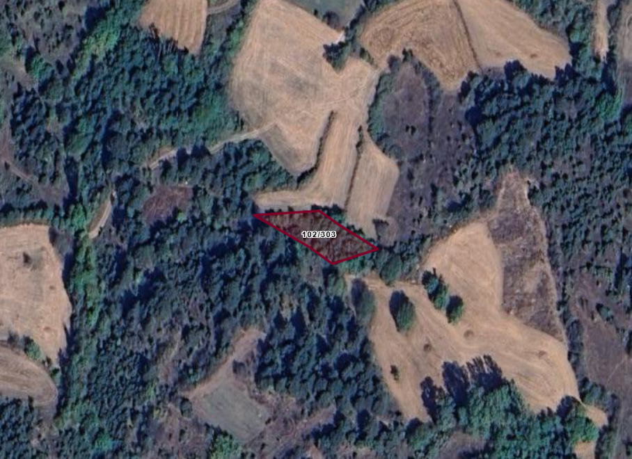 BOLU GÖYNÜK ÇAYLAK    KÖYÜNDE 768  M²  TARLA  SATILIKTIR