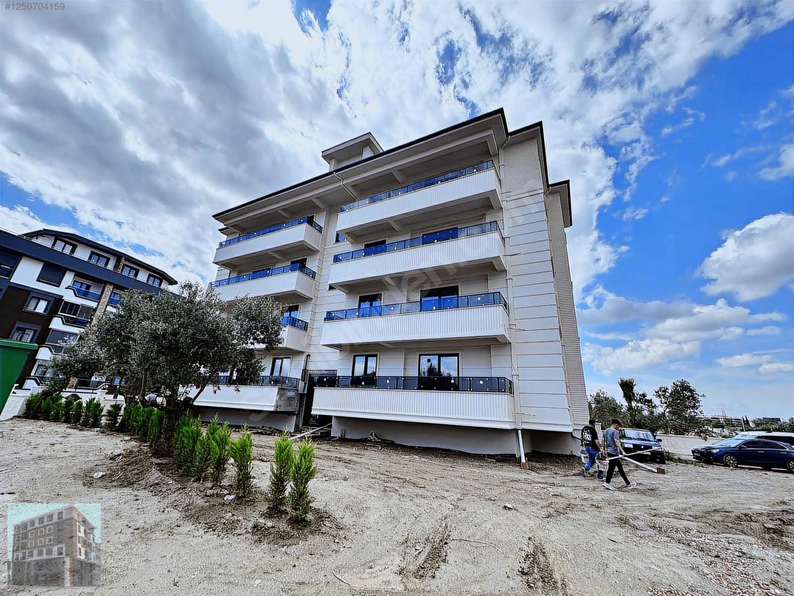 Fotoğraf