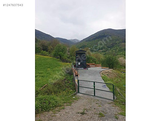 Fotoğraf